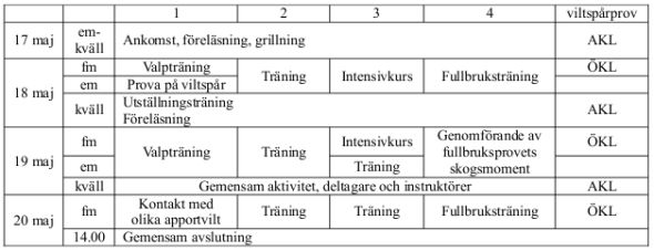 Träningsschema